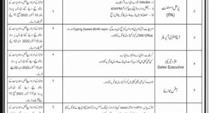 Faisal Town Private Limited Jobs